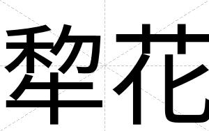 犂花