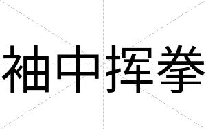 袖中挥拳