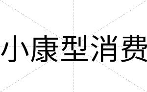 小康型消费