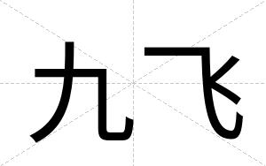 九飞