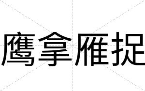 鹰拿雁捉