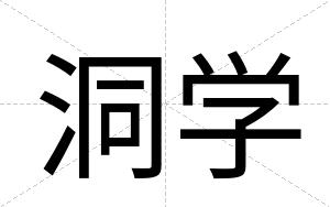 洞学