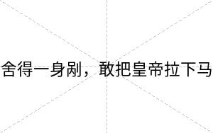 舍得一身剐，敢把皇帝拉下马