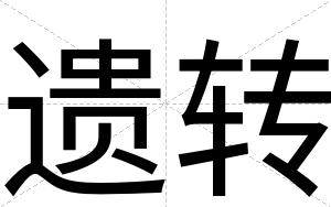 遗转