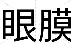 眼膜