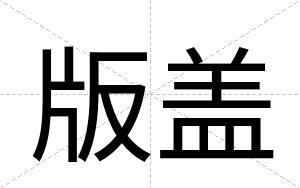 版盖