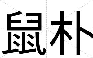 鼠朴