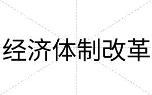 经济体制改革
