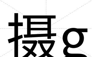 摄g