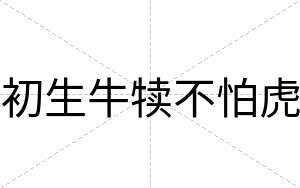 初生牛犊不怕虎