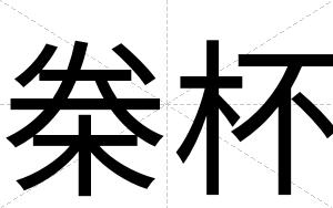 桊杯