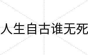 人生自古谁无死