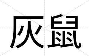 灰鼠