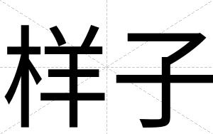 样子