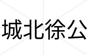 城北徐公