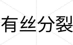 有丝分裂