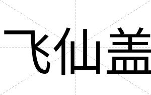 飞仙盖
