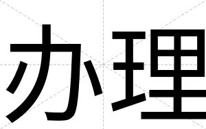 办理