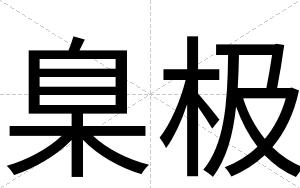 臬极