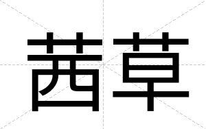 茜草