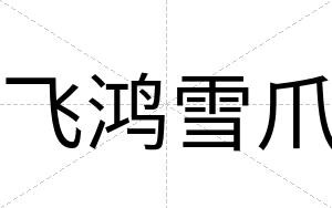 飞鸿雪爪