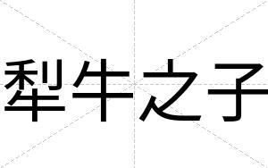 犁牛之子