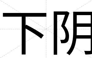 下阴