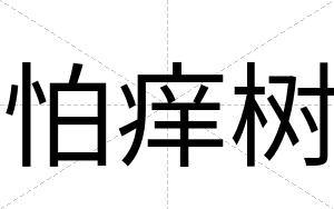 怕痒树