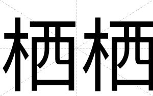 栖栖