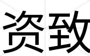 资致