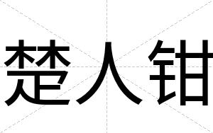 楚人钳
