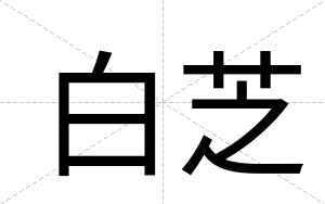 白芝