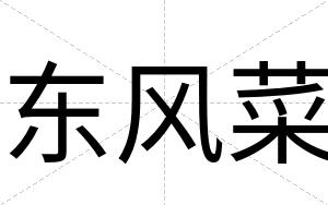 东风菜