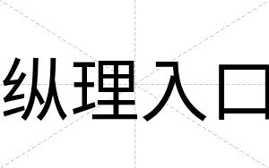 纵理入口