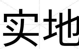 实地