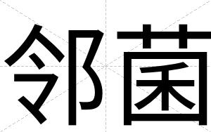 邻菌