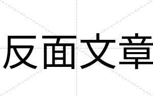 反面文章