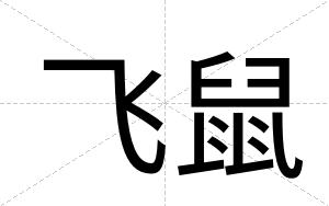 飞鼠