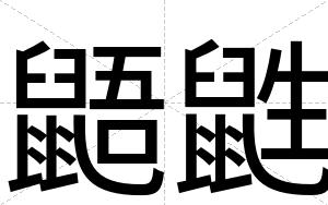 鼯鼪