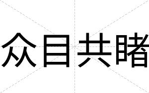 众目共睹