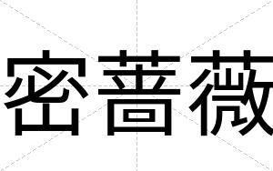 密蔷薇