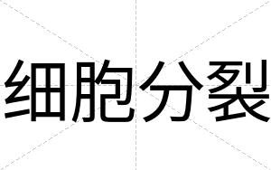 细胞分裂