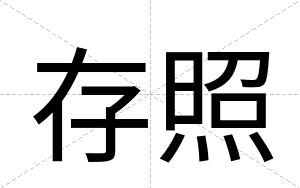 存照