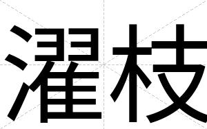 濯枝
