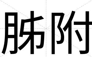 胏附