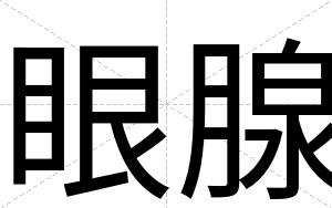 眼腺
