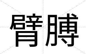 臂膊