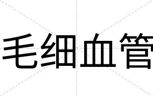 毛细血管