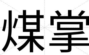 煤掌