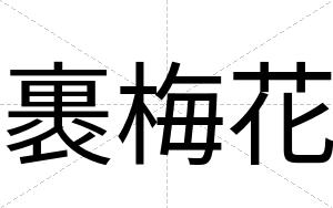 裹梅花